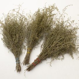 Полынь Крымская трава пучок