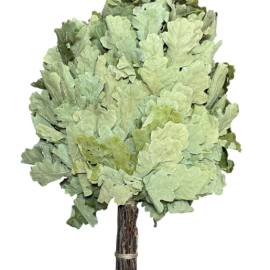 Веник банный Ecovenik дубовый “Хуторской”