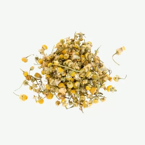 Цветки ромашки