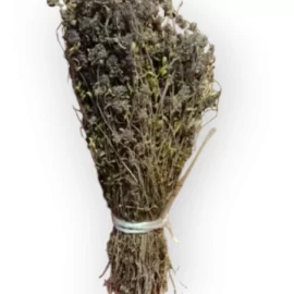 Чабрец трава, пучок