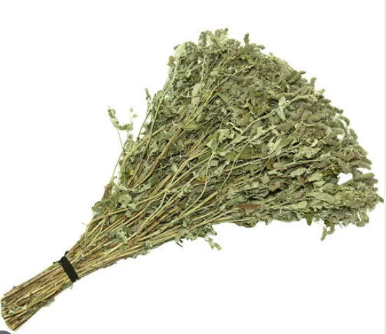 Мята лесная трава, пучок