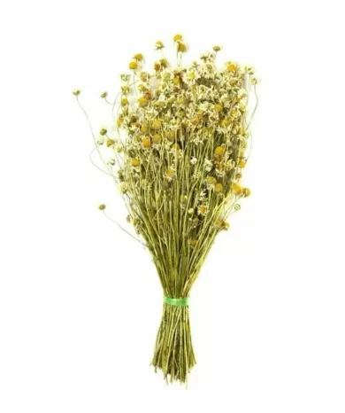 Ромашка, пучок