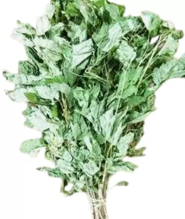 Смородина черная, пучок